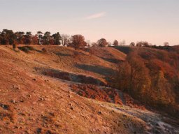 IMGP3973-Dollerup-Bakker